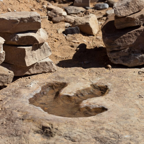 Dinosaur footprint