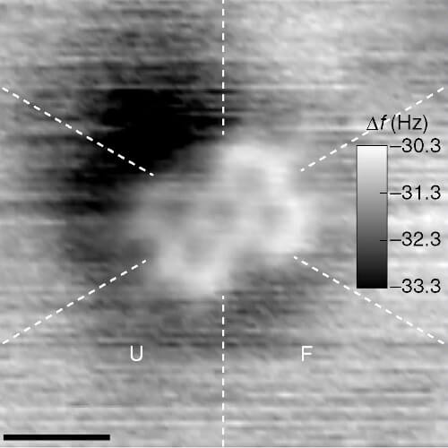 Atomic force microscope image of a PTCDA molecule