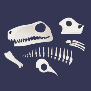 Paleontology