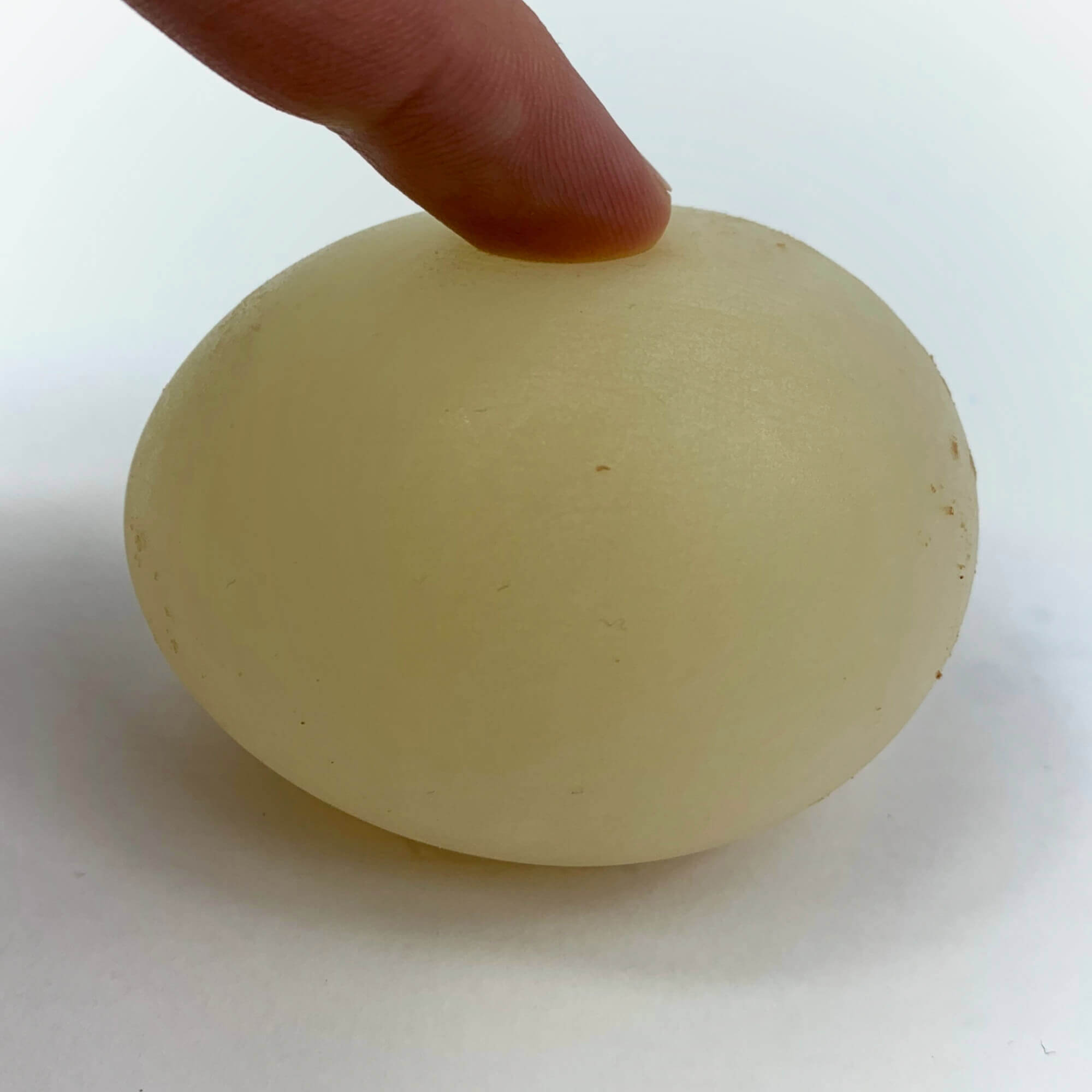Squishy Egg