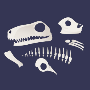 Fossil Facts for Kids