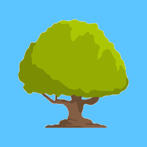 Oak Tree Facts for Kids