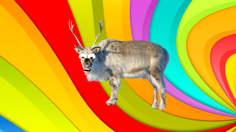 Did you hear about the evil reindeer that ate the snowman's nose? It just didn't carrot all!