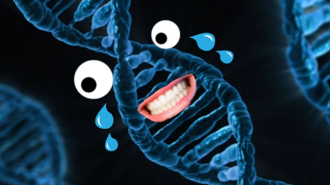 What did one DNA strand say to the other? Do these genes look good on me?