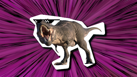 What do you call a dinosaur wearing sunglasses? A do-you-think-he-saurus!