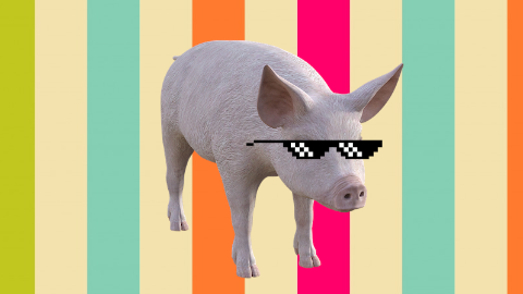 What do you call a prehistoric pig? A Jurassic pork!