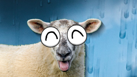 What's a sheep's favorite fruit? A baaaaa-nana!