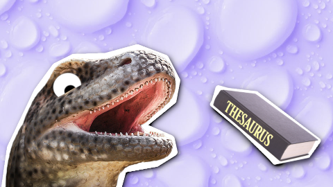 Which dinosaur had the largest vocabulary? The thesaurus!