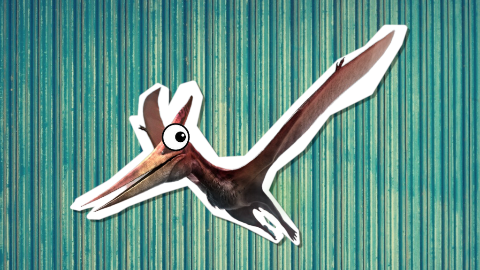 Who comes after a pterodactyl? The repair-odactyl!