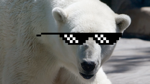 Why did the bear dissolve in water? It was polar!