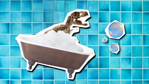 Why didn't dinosaurs ever bathe? They didn't want to become ex-stinked!