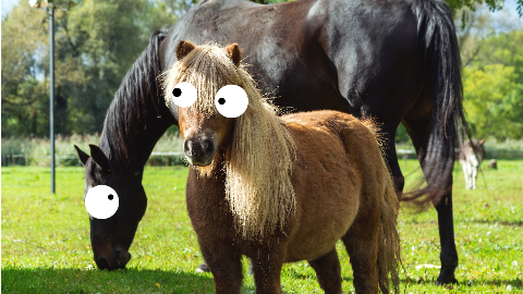 Why was the pony having trouble singing? It was a little horse!