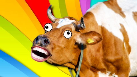 Ever hear about the cow that opened a dairy farm? Unfortunately, it was an udder catastrophe!