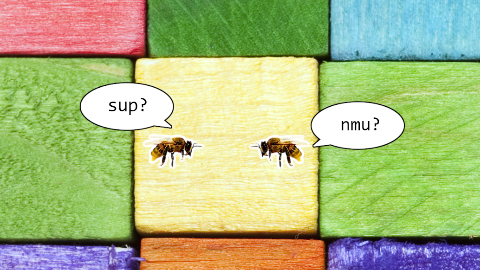 How do bees greet each other in Japan? Wasabi?