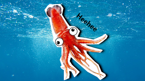 How do you get a squid to laugh? Give it ten tickles!
