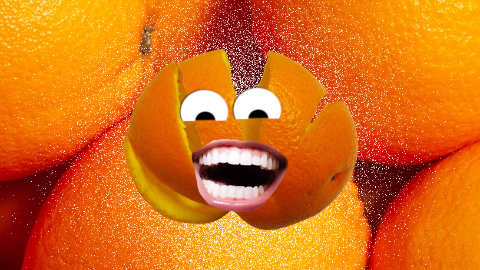 What did the peel say to the orange? Don't worry, I've got you covered!