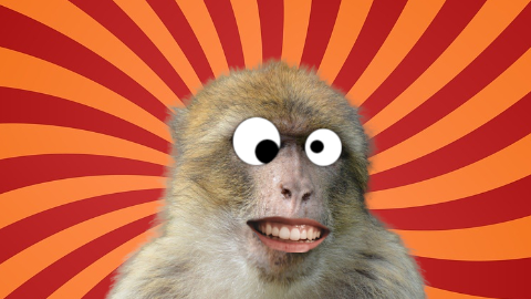 11 Hilariously Corny Monkey Jokes for Kids That'll Make Ya Laugh