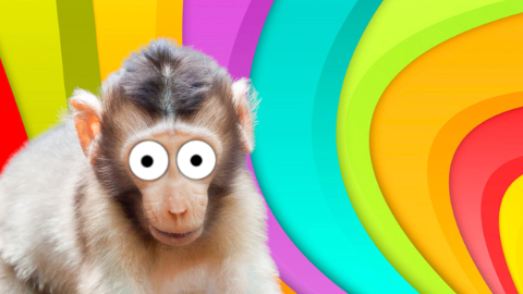 11 Hilariously Corny Monkey Jokes for Kids That'll Make Ya Laugh