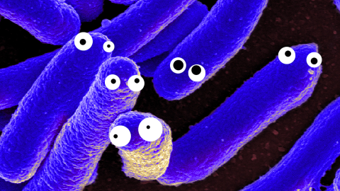Why did the bacteria post a video online? They wanted to go viral.