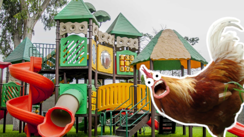 Why did the chicken cross the playground? To get to the other slide!