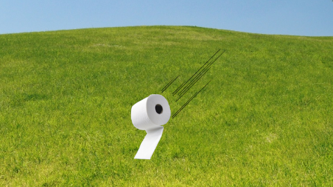 Why did the toilet paper roll down the hill? To get to the bottom!