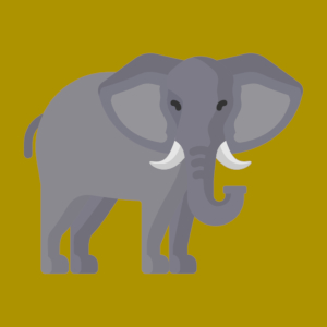 Animals Quiz